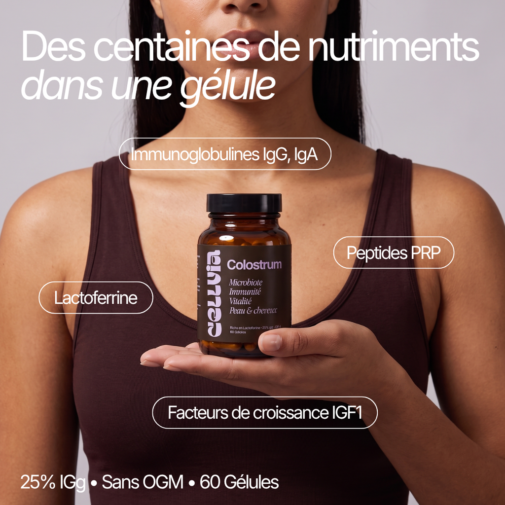 Colostrum Bovin Gélules